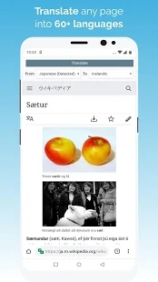 Kiwi浏览器app截图1