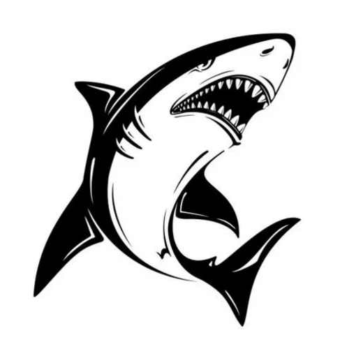 鲨鱼tv官网